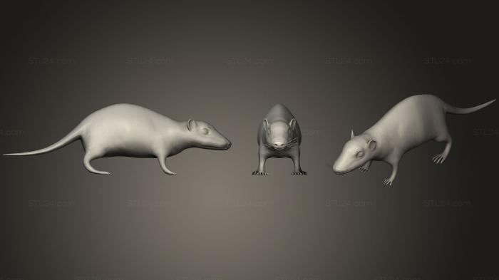 Статуэтки животных (Коричневая Крыса, STKJ_0768) 3D модель для ЧПУ станка